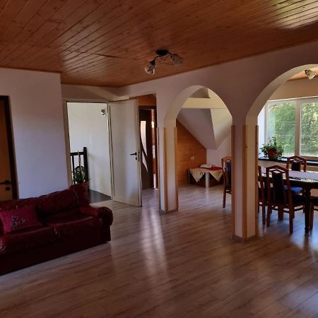 Vila Aslam Hotel Gura Humorului Ngoại thất bức ảnh