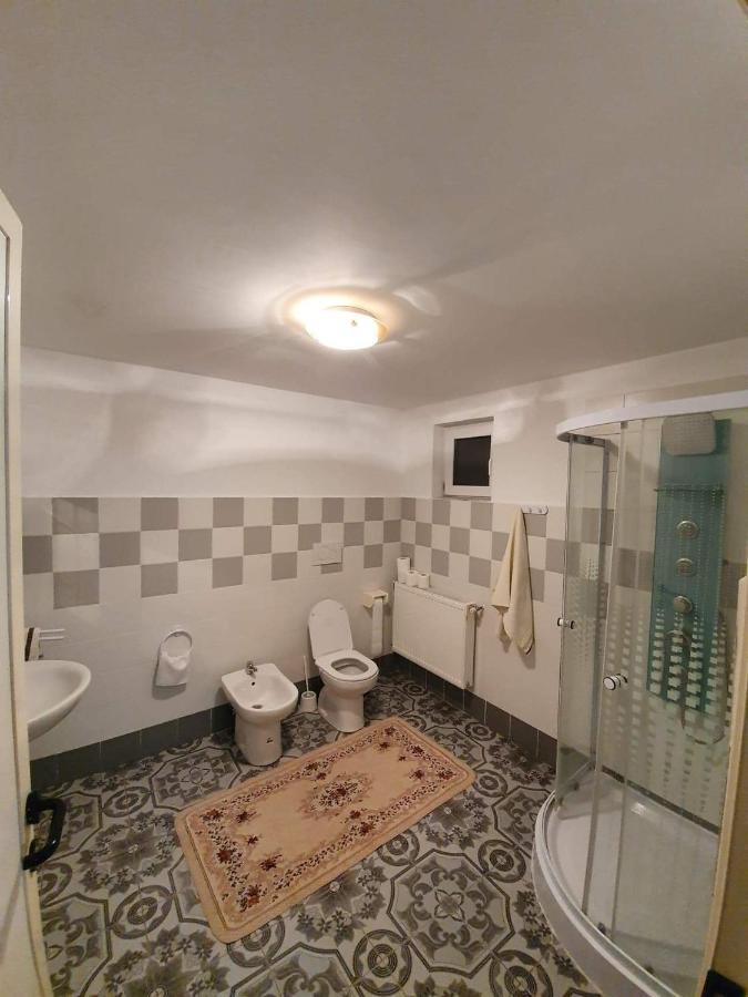 Vila Aslam Hotel Gura Humorului Ngoại thất bức ảnh