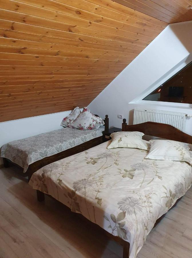 Vila Aslam Hotel Gura Humorului Ngoại thất bức ảnh
