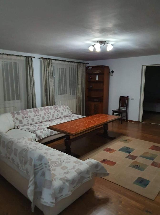 Vila Aslam Hotel Gura Humorului Ngoại thất bức ảnh